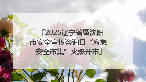 2025辽宁省暨沈阳市安全宣传咨询日“应急安全市集”火爆开市