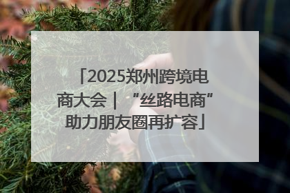 2025郑州跨境电商大会｜“丝路电商”助力朋友圈再扩容