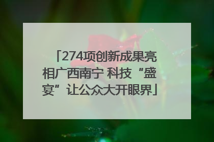 274项创新成果亮相广西南宁 科技“盛宴”让公众大开眼界