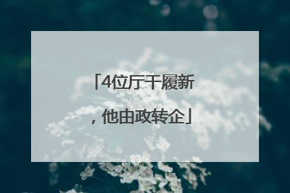 4位厅干履新，他由政转企