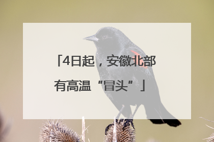 4日起，安徽北部有高温“冒头”