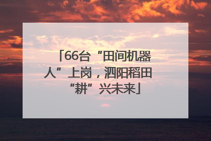 66台“田间机器人”上岗，泗阳稻田“耕”兴未来