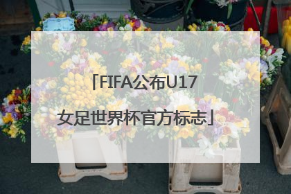 FIFA公布U17女足世界杯官方标志