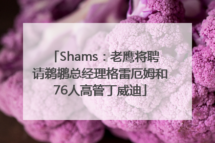 Shams：老鹰将聘请鹈鹕总经理格雷厄姆和76人高管丁威迪